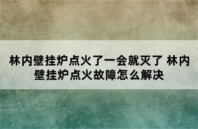 林内壁挂炉点火了一会就灭了 林内壁挂炉点火故障怎么解决